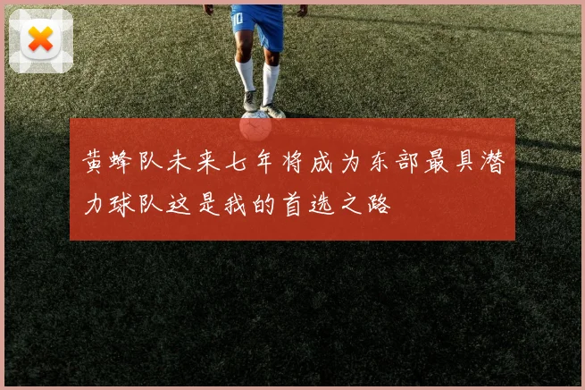 黄蜂队未来七年将成为东部最具潜力球队这是我的首选之路