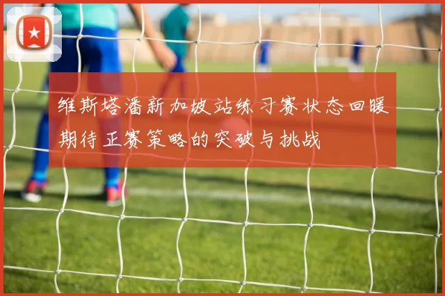 维斯塔潘新加坡站练习赛状态回暖期待正赛策略的突破与挑战