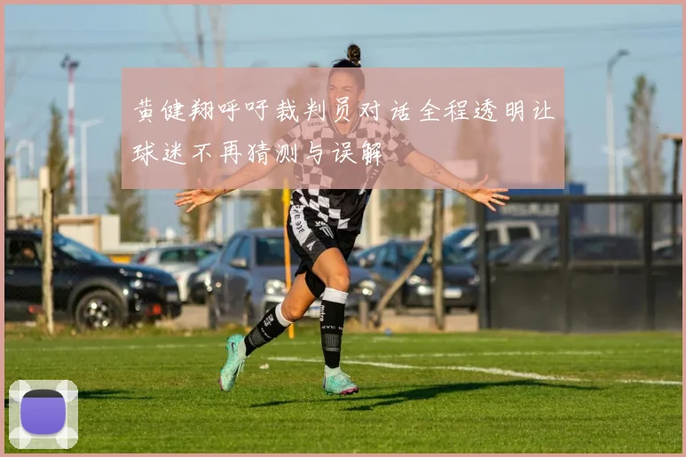 黄健翔呼吁裁判员对话全程透明让球迷不再猜测与误解